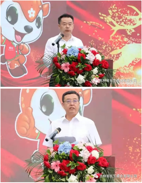 1625813066887575.png image.png