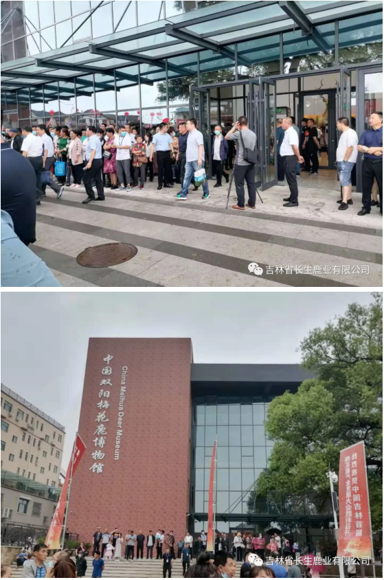 1625813181624068.png image.png