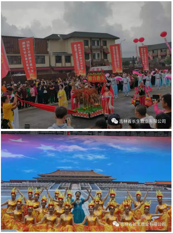 1625813241359735.png image.png