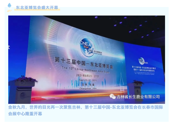 1634031550169945.png image.png